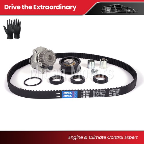 Timing belt kit - belt, pump